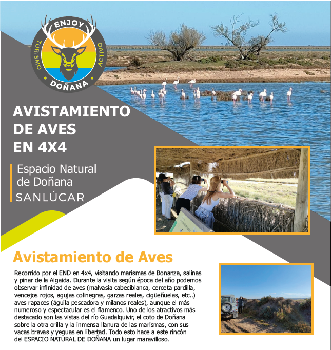 Ruta en 4x4 por Doñana