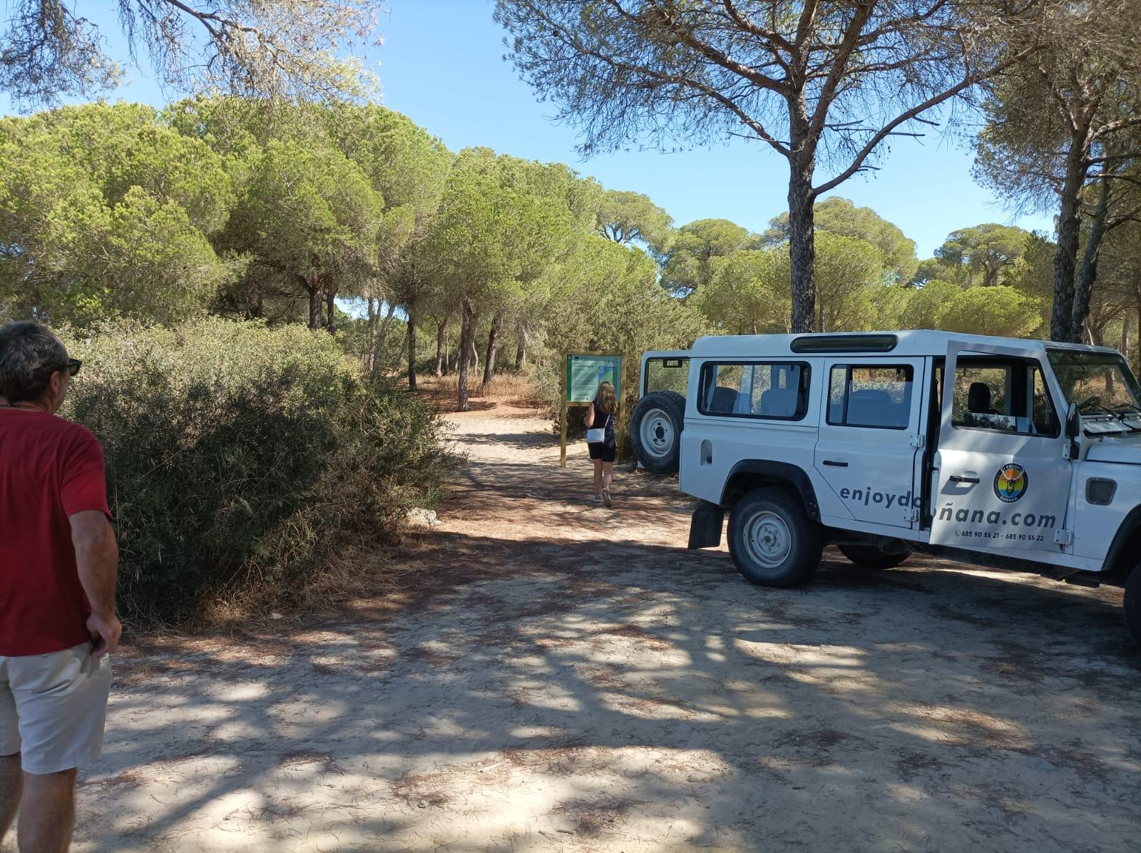 Ruta en 4x4 por Doñana