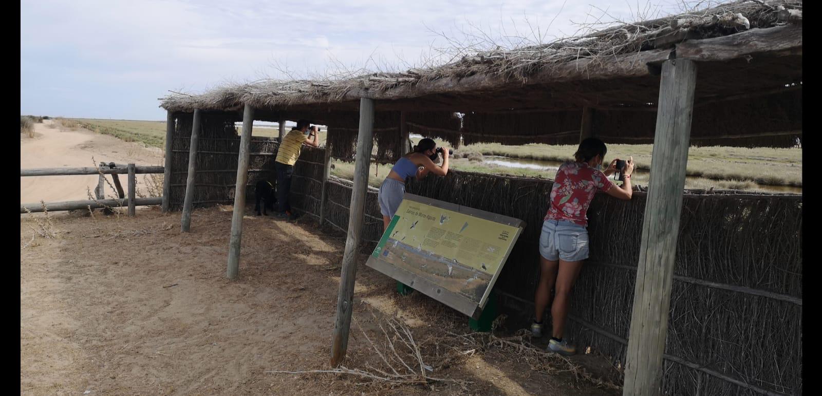 Ruta en 4x4 por Doñana - Imagen 7