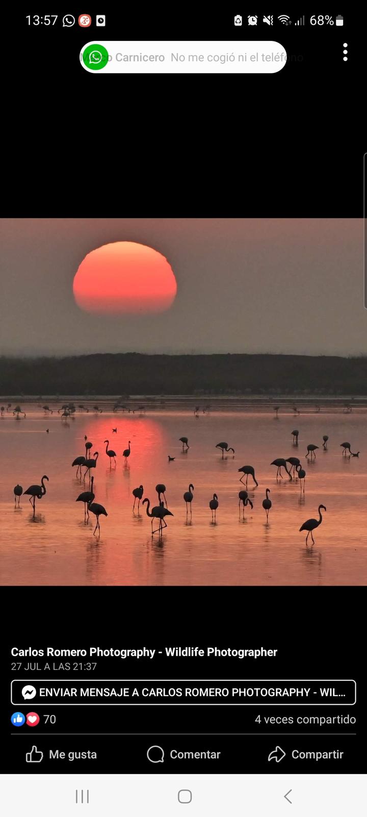 Ruta en 4x4 por Doñana - Imagen 9