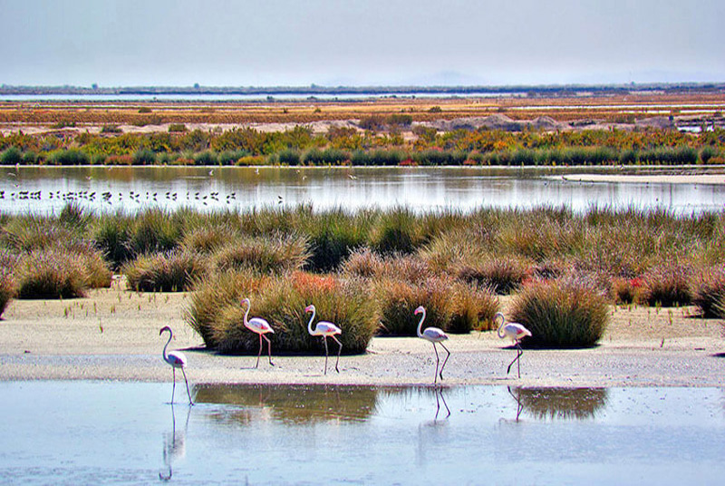 Actividad 1 - Enjoy Doñana