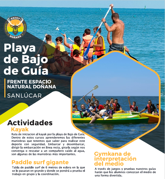 Playa de Bajo de Guía