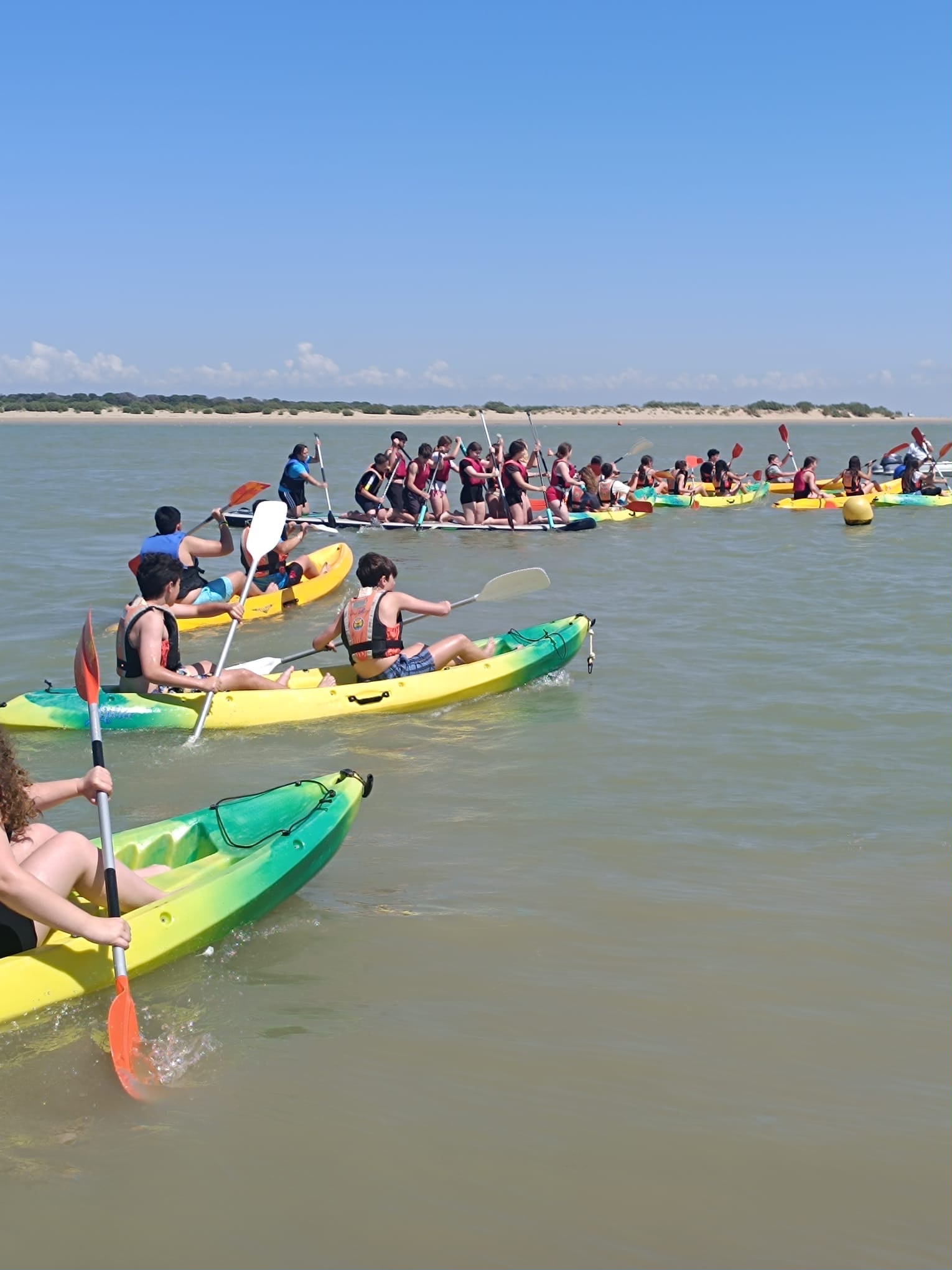 Actividades escolares en Doñana